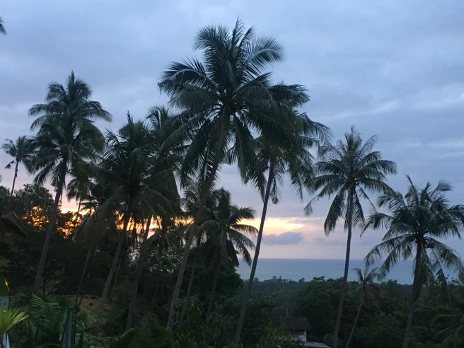 6CD01CDC-79B3-40F6-BD5C-DF414CA8ED85